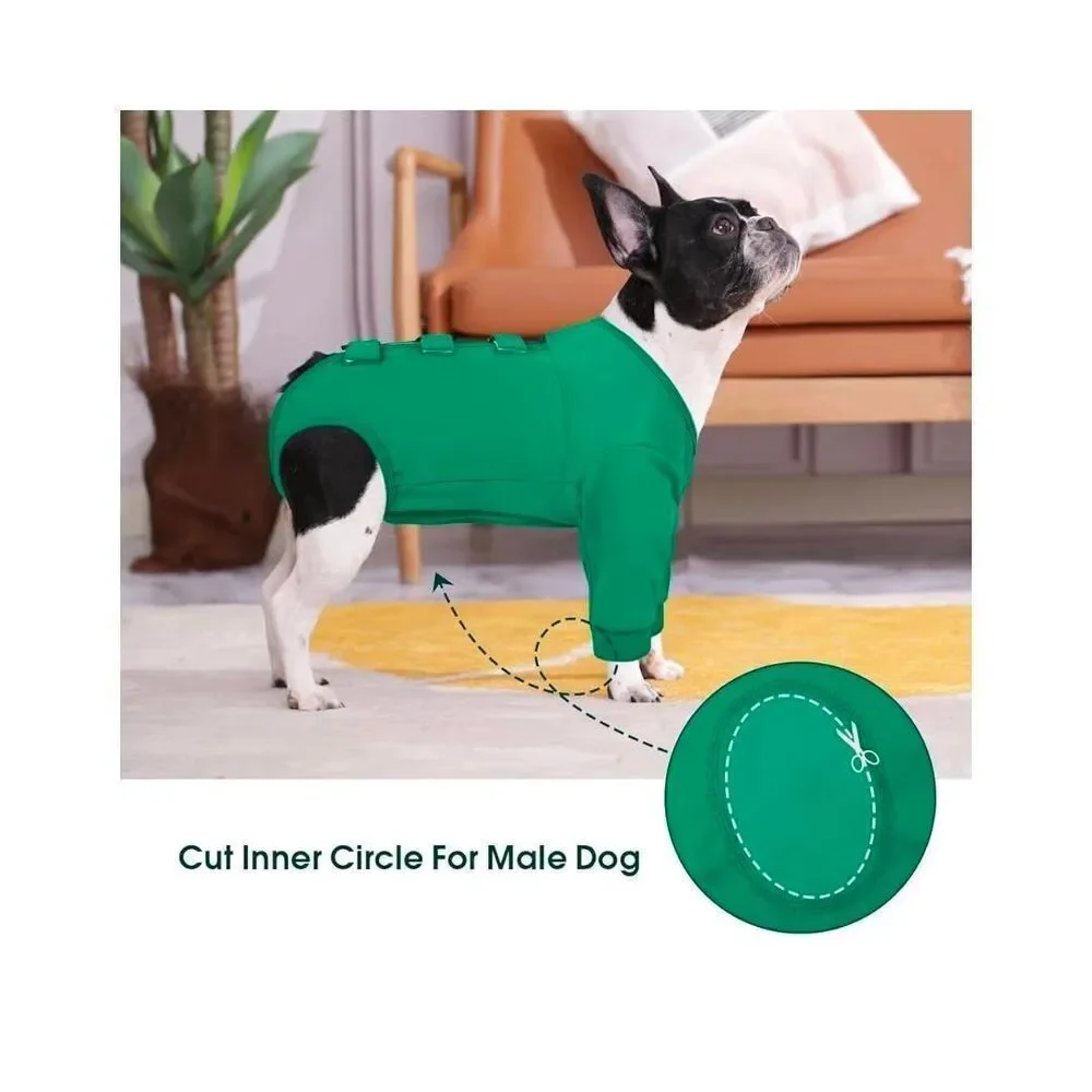 No Brand kuoser dog